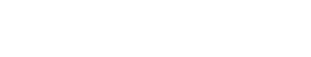 Raymarine